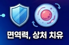아르기닌 효능