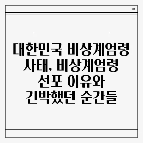 대한민국 비상계엄령 사태, 비상계엄령 선포 이유와 긴박했던 순간들
