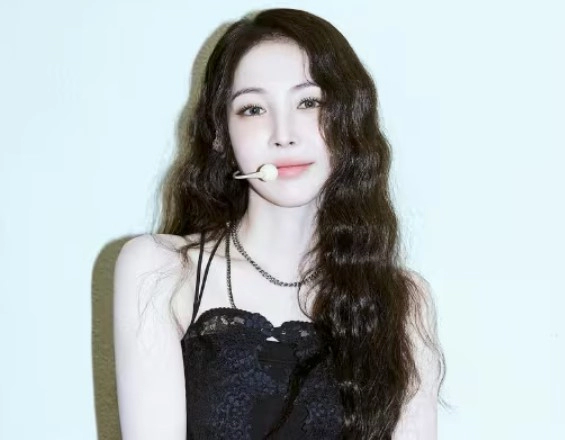 보아 은퇴 발언 이유