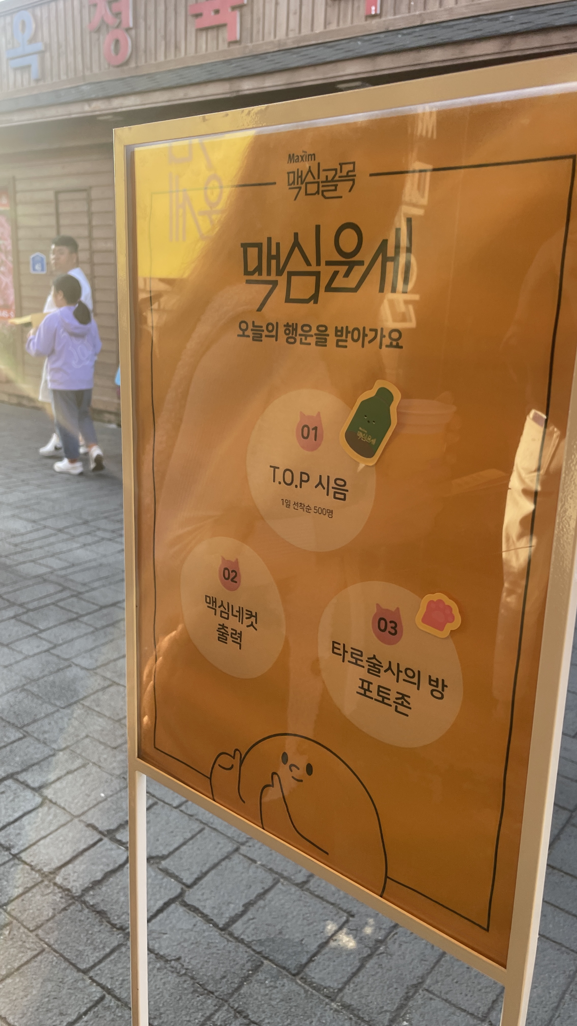 맥심 운세
