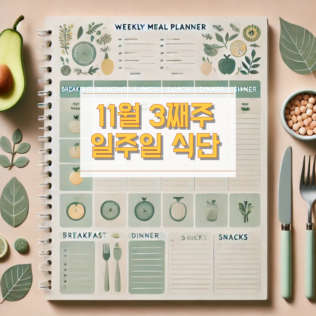 11월 3째주 일주일 식단