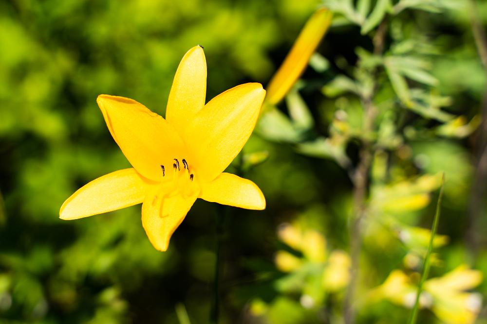 구례-가볼만한곳-TOP10