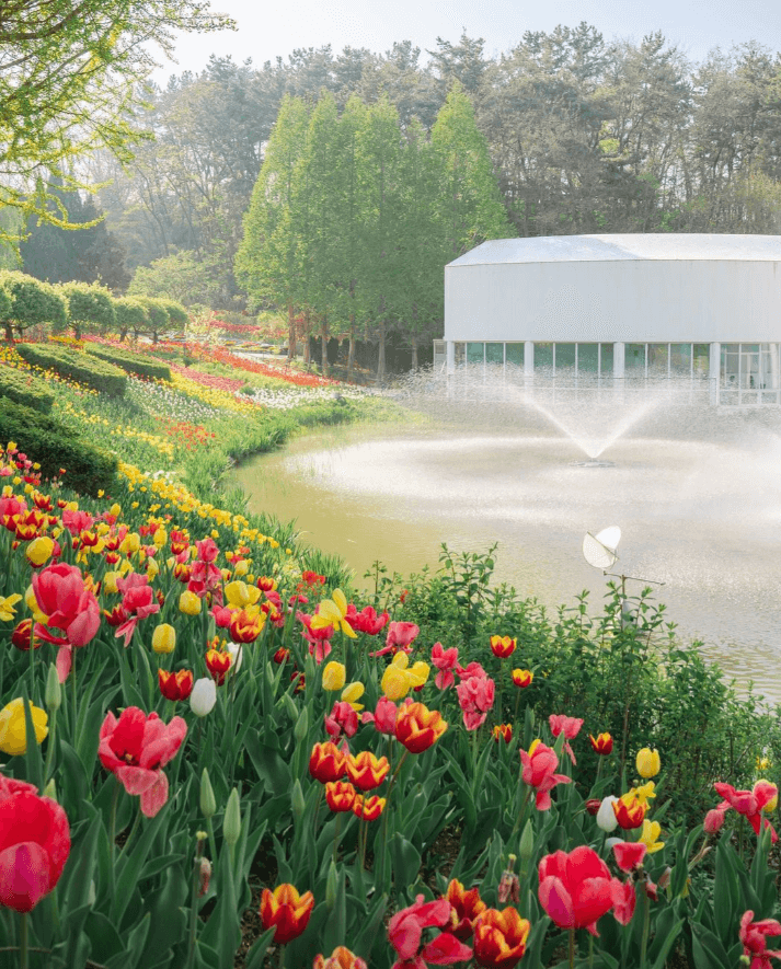 2025 풍기인삼축제 일정&amp; 주차장