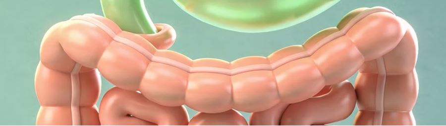 입냄새 제거방법 원인별 관리 지표