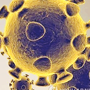 페노피브레이트 관련주 대장주 테마주 수혜주 TOP10