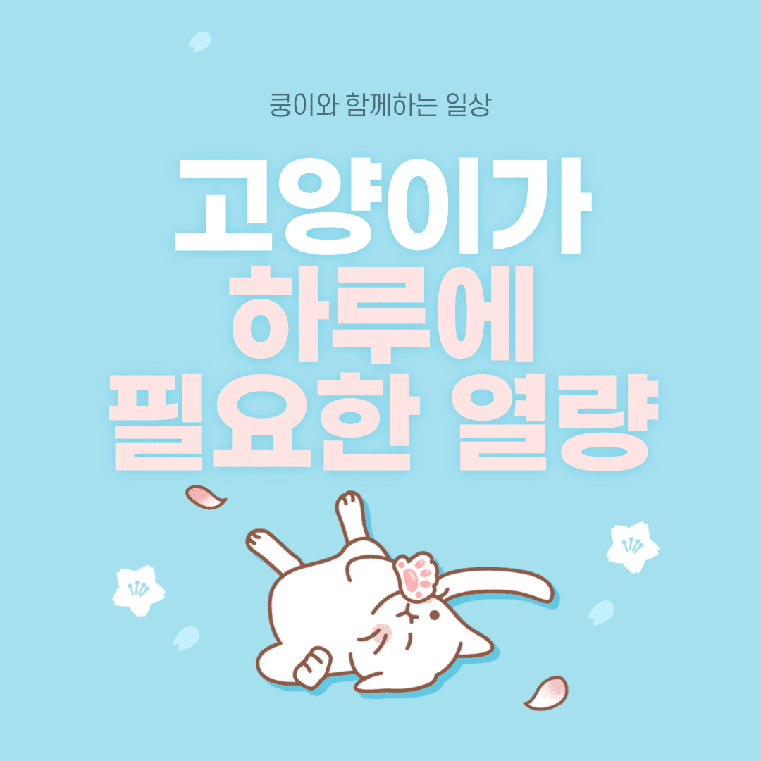 고양이가 하루에 필요한 열량