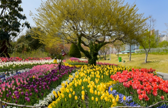 순천만국제정원박람회