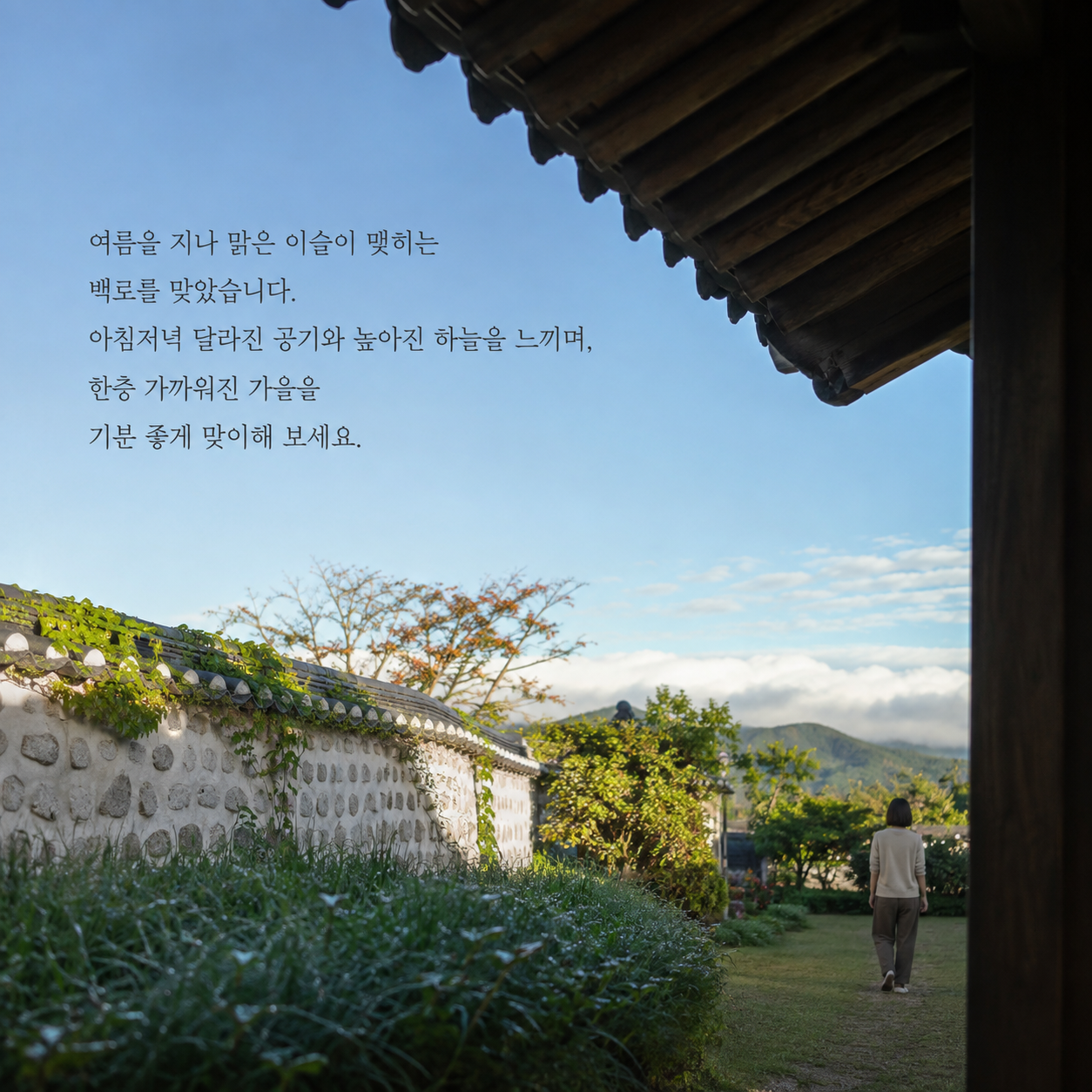 여름이 지나고 맑은 이슬과 가을을 맞이하는 백로 인사 이미지