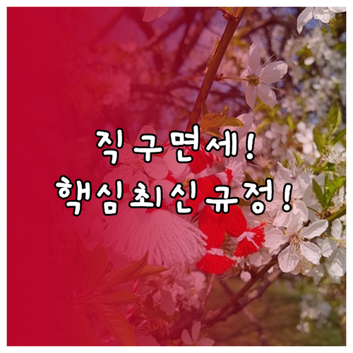직구 관세 피하는 면세 한도 합산과세..