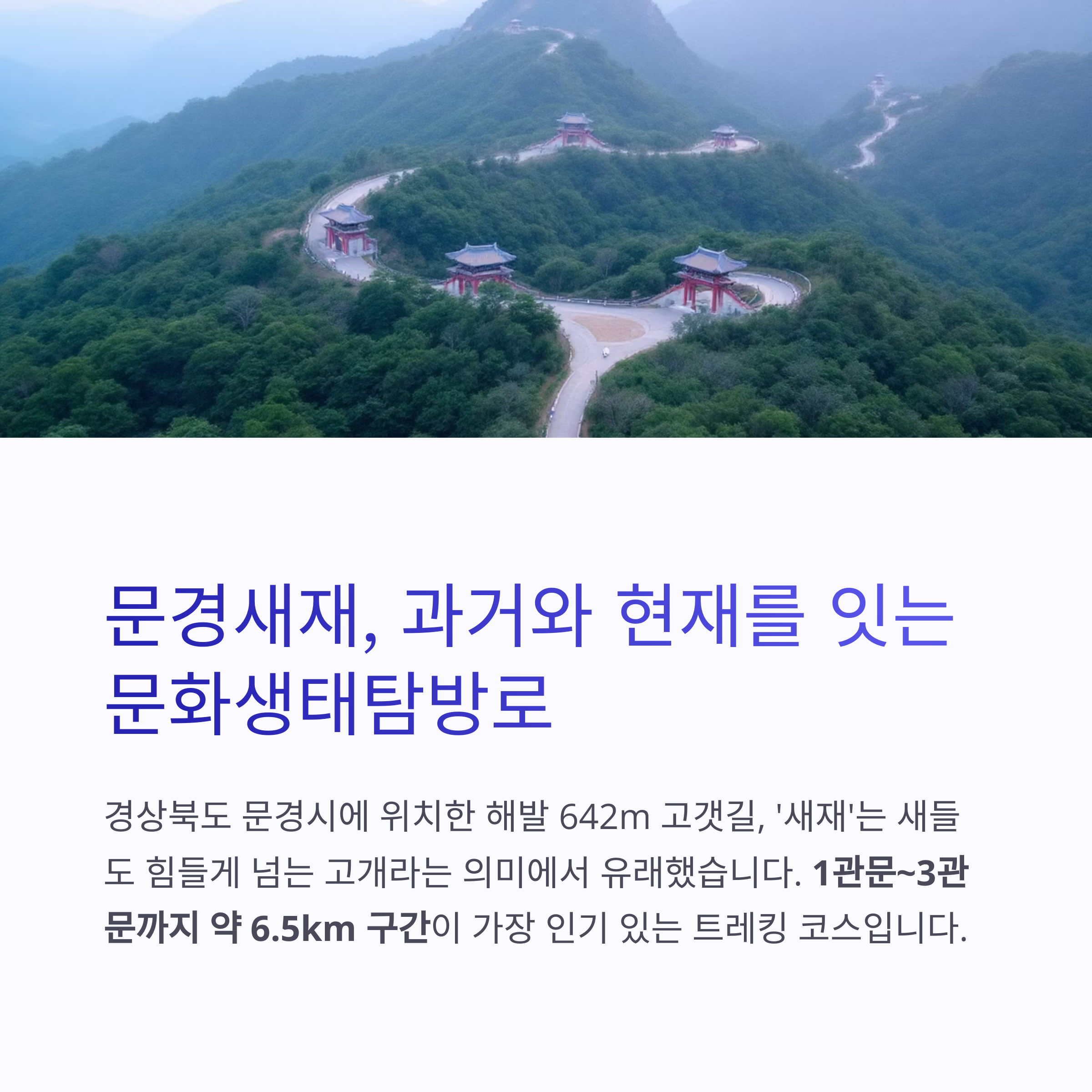 트레킹과 힐링을 동시에, 문경새재도립공원의 매력 완전 정복