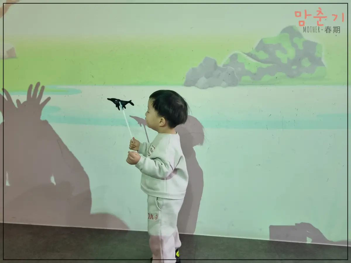 해양자연사박물관-그림자놀이-공룡그림자놀이