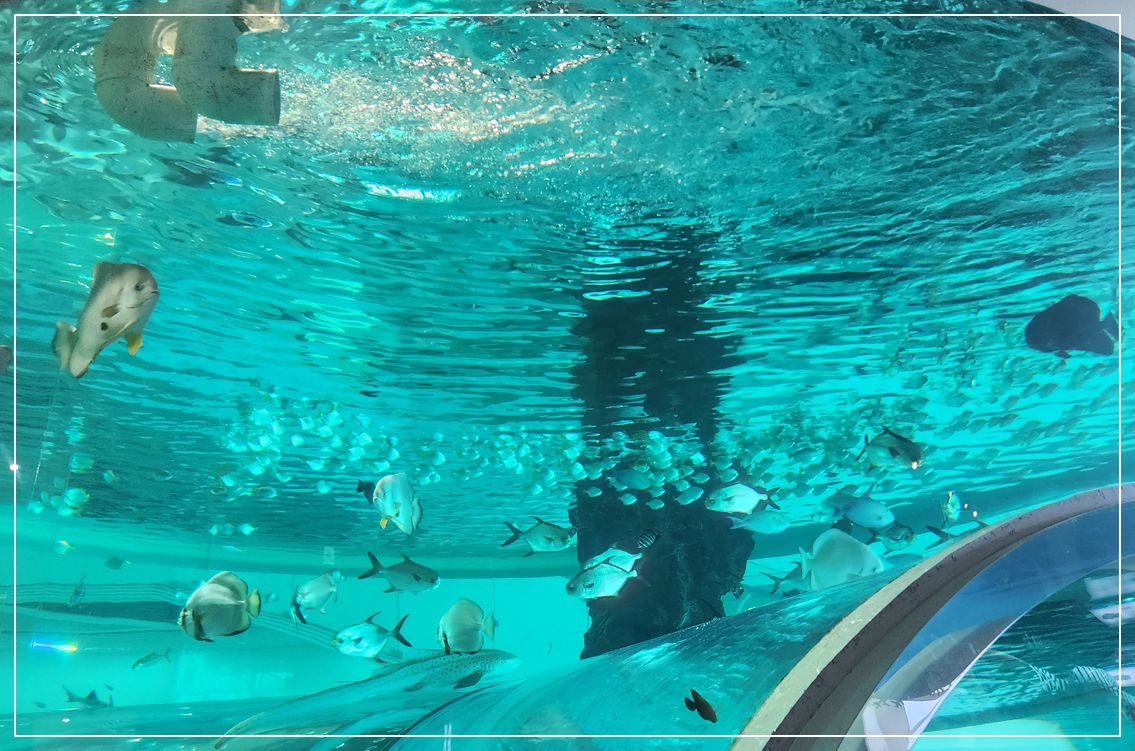 영도 해양박물관