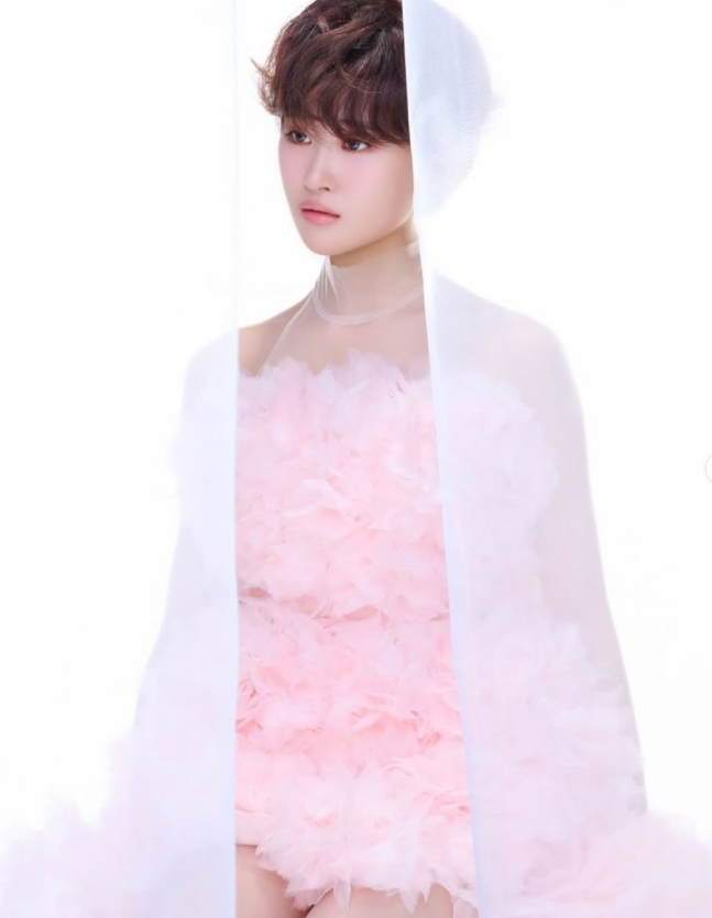 김다현