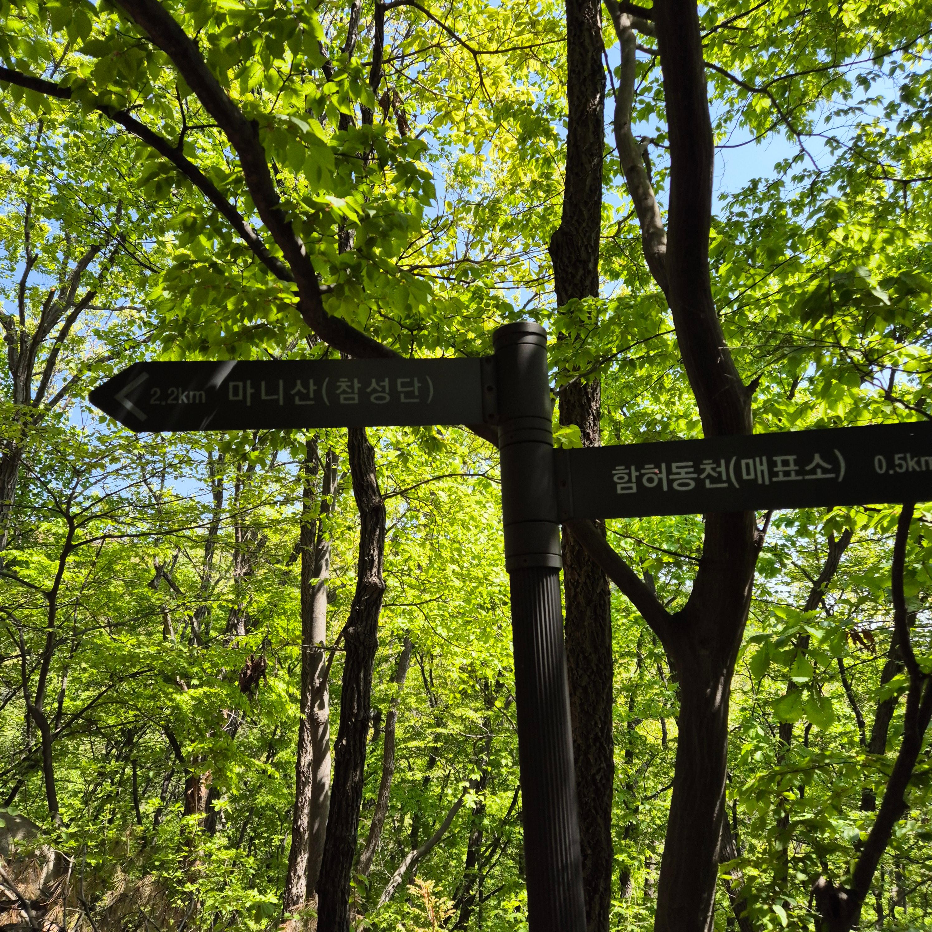 마니산 입장료&amp;#44; 마니산&amp;#44; 마니산 등산&amp;#44; 마니산 등산로&amp;#44; 강화도 마니산&amp;#44; 강화 마니산&amp;#44; 함허동천&amp;#44; 함허동천로&amp;#44; 마니산 함허동천로&amp;#44; 마니산 험허동천&amp;#44; 마니산 계곡로&amp;#44; 마니산 단군로&amp;#44; 마니산 주차장