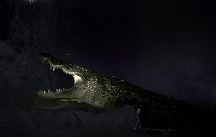 호주 공포 영화 추천 블랙 워터 어비스 다시보기 줄거리 결말 후기 리뷰 스포일러