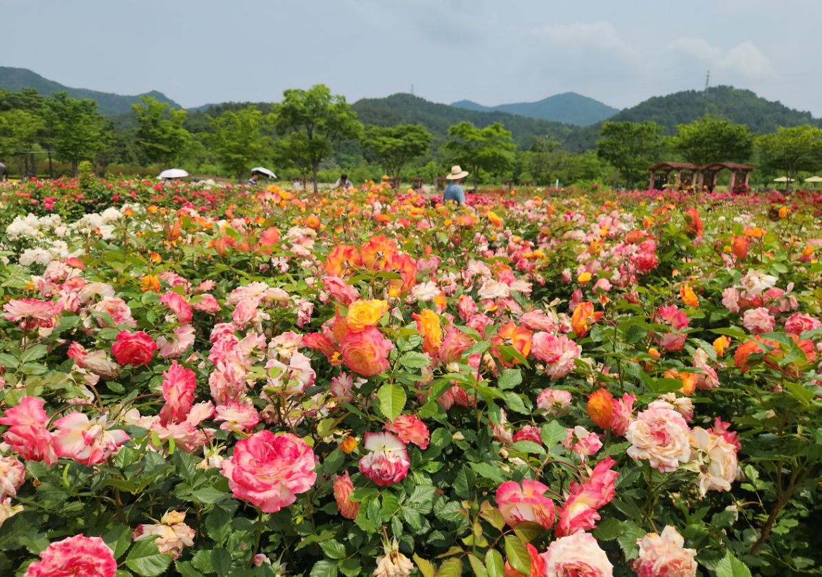 해운대수목원