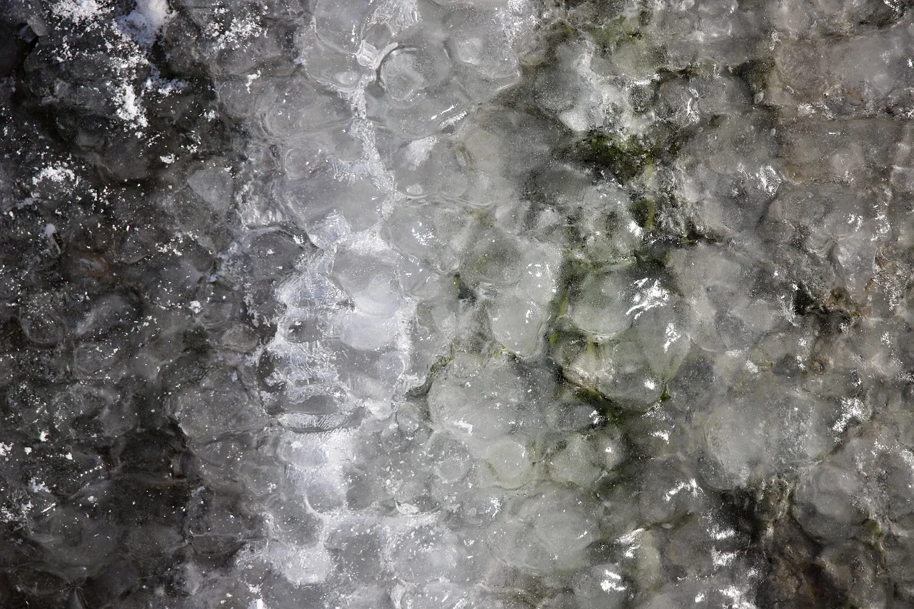 블랙아이스 대처방법