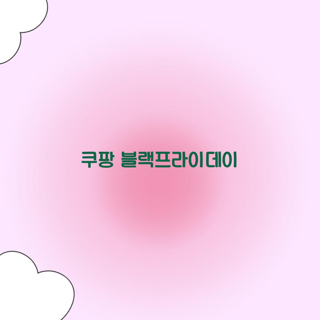 쿠팡 블랙프라이데이