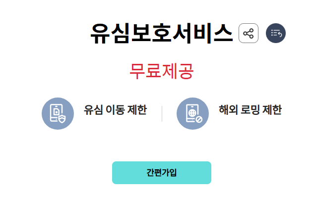 KT유심보호서비스