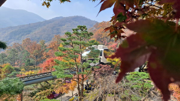 단풍명소_화담숲_모노레일