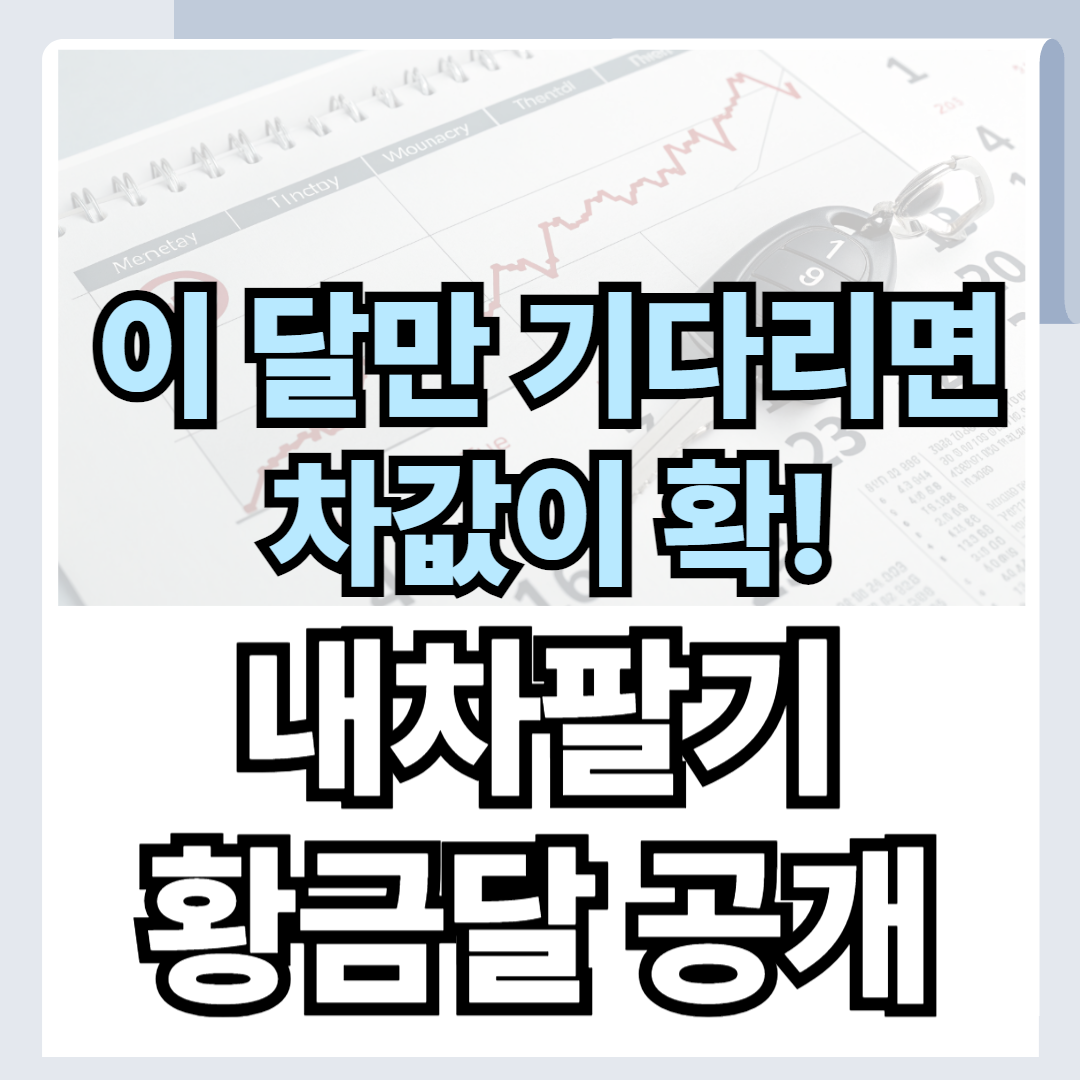 내차팔기 손해 안 보는 달