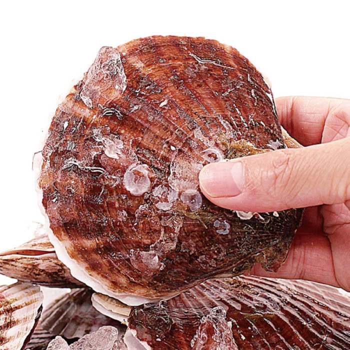 생방송오늘저녁 수산물 유통 50억 버는 청년 비법과 통영 제철 상품 전국 택배 온라인 주문 방법