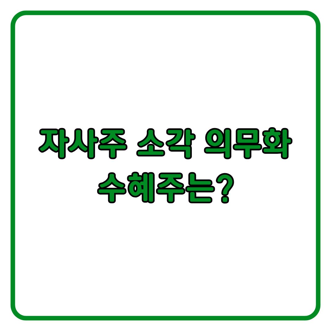 자사주 소각이란 자사주 소각 효과와 관련주 총정리