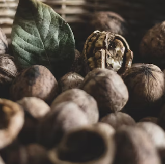 호두 효능과 부작용 하루섭취량 먹는방법 고르는법