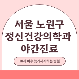 서울 노원구 야간진료 정신건강의학과 병원 (18시 이후 늦게까지하는 병원)