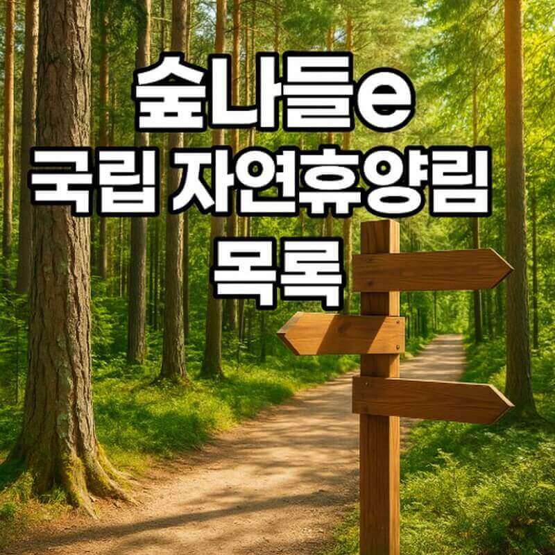 숲나들e 국립 자연휴양림 목록, 가족 나들이·캠핑 최적지 추천 관련사진
