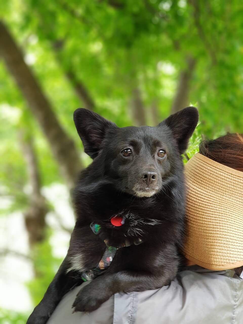 정부 지원 프로그램