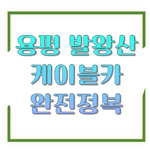 용평 발왕산 케이블카 완전정복: 요금&middot;시간&middot;눈꽃뷰 포인트까지