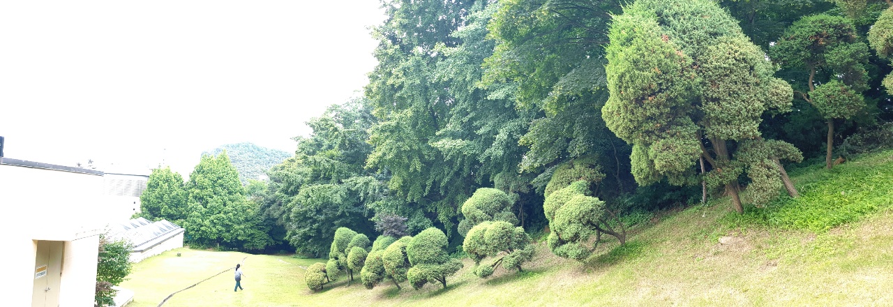 스위스-그랜드-호텔-산책로-언덕이-있는-숲길