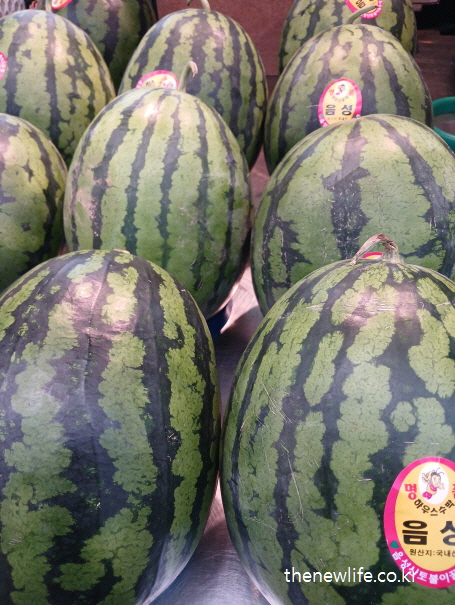 Fresh whole watermelons neatly displayed at a market, known for hydrating benefits during heat exhaustion./시장에 진열된 수박 – 더위 먹었을 때 수분 보충에 도움이 되는 대표 과일