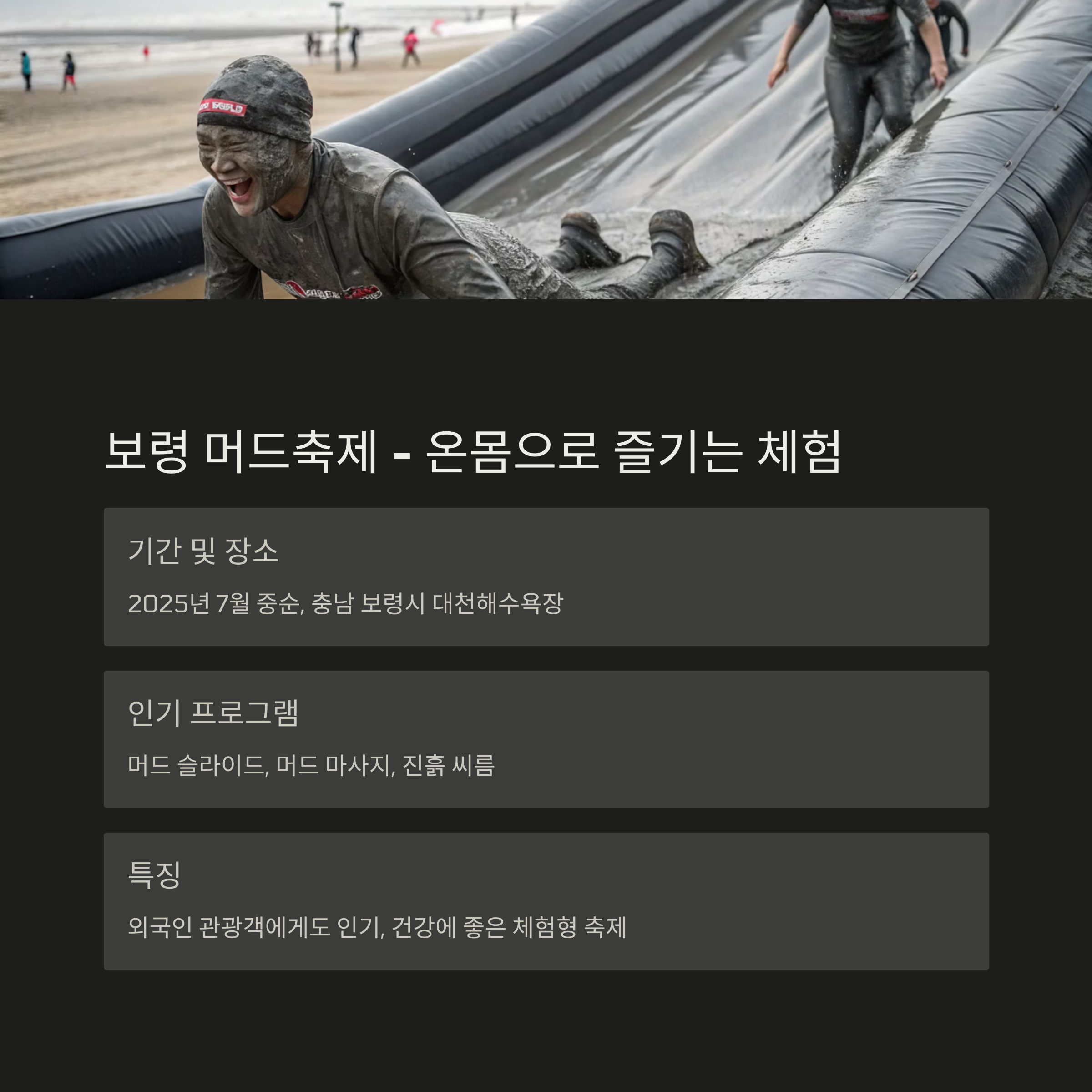 보령 축제 사진