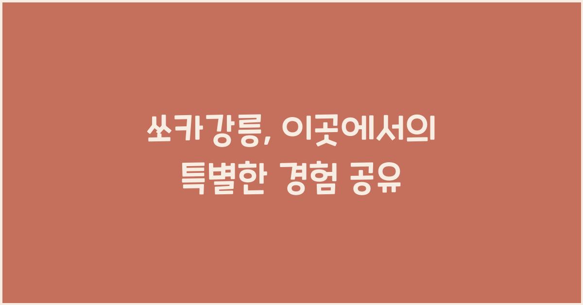 쏘카강릉
