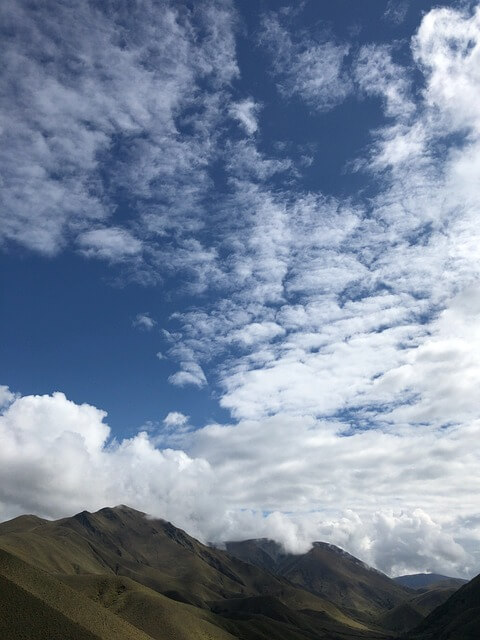 보령 월디페 티켓