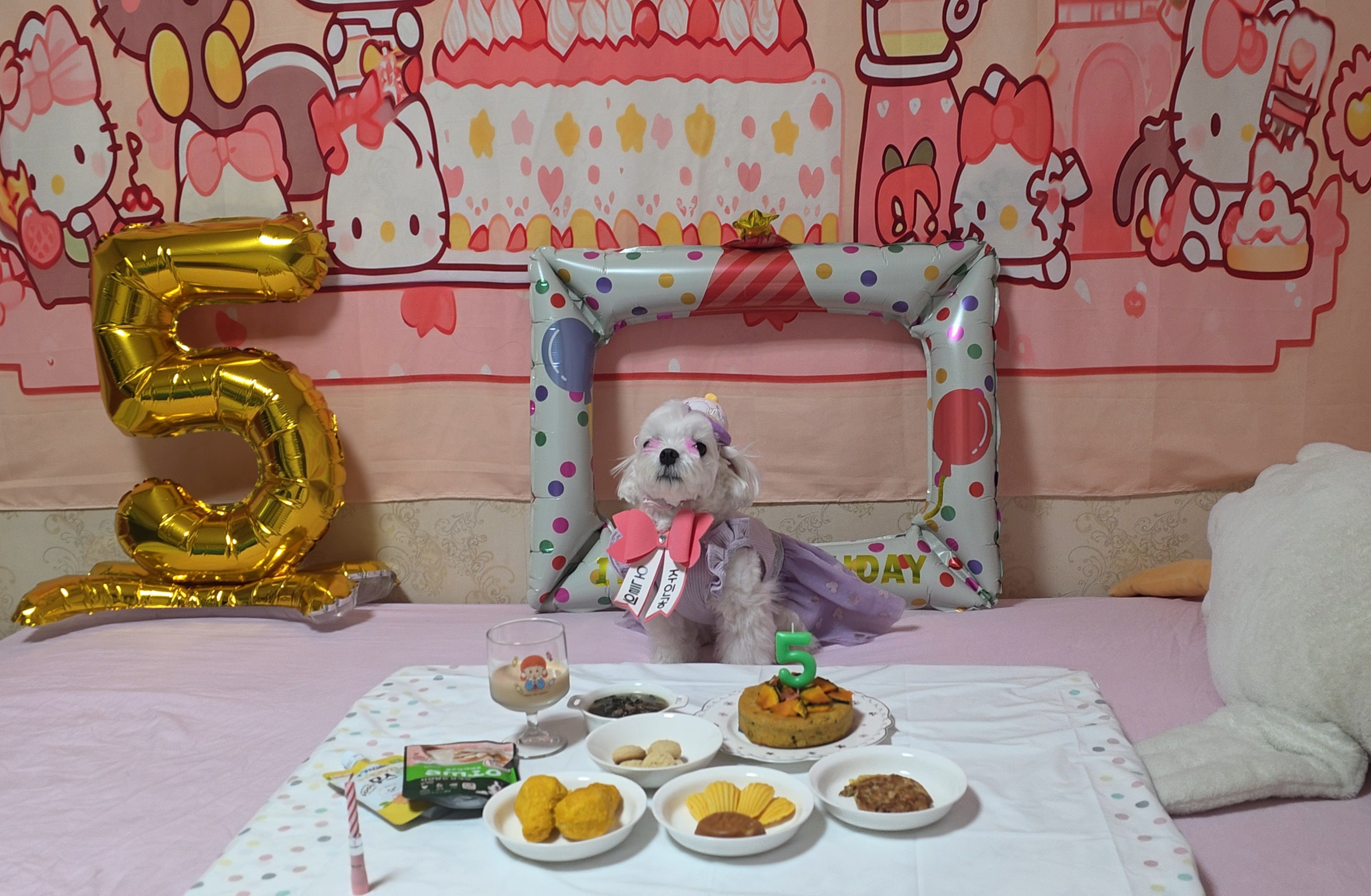 생일 파티 모습