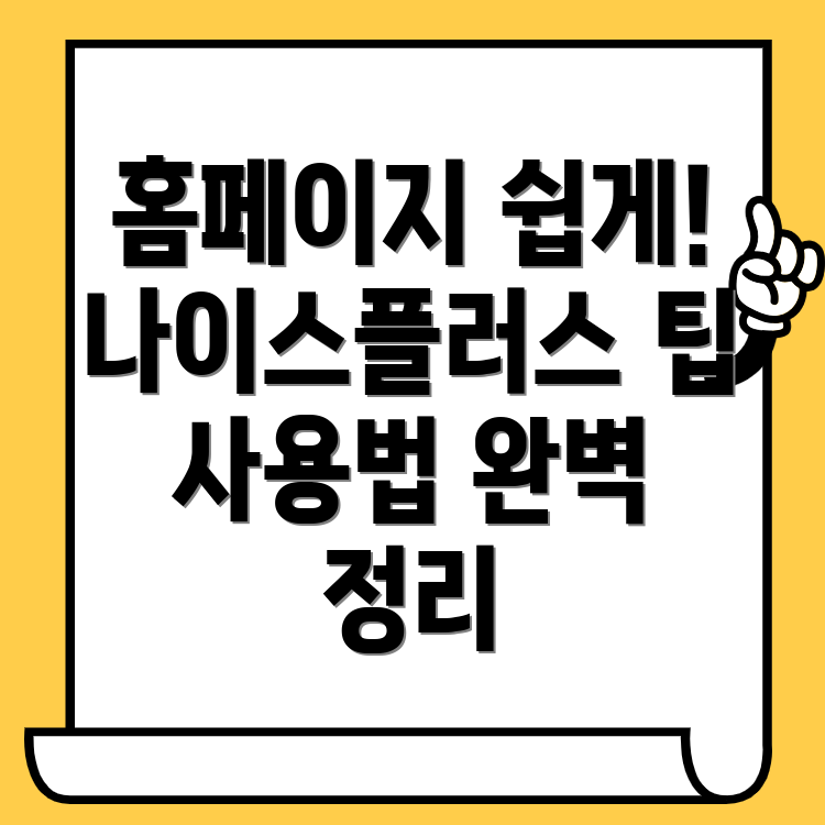 나이스플러스