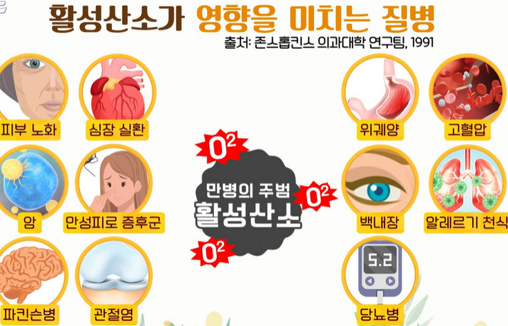 리포좀 비타민C