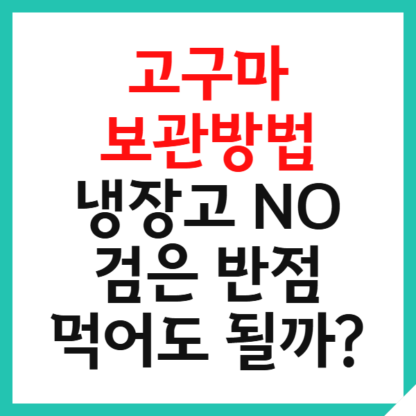 고구마 보관방법 보관온도