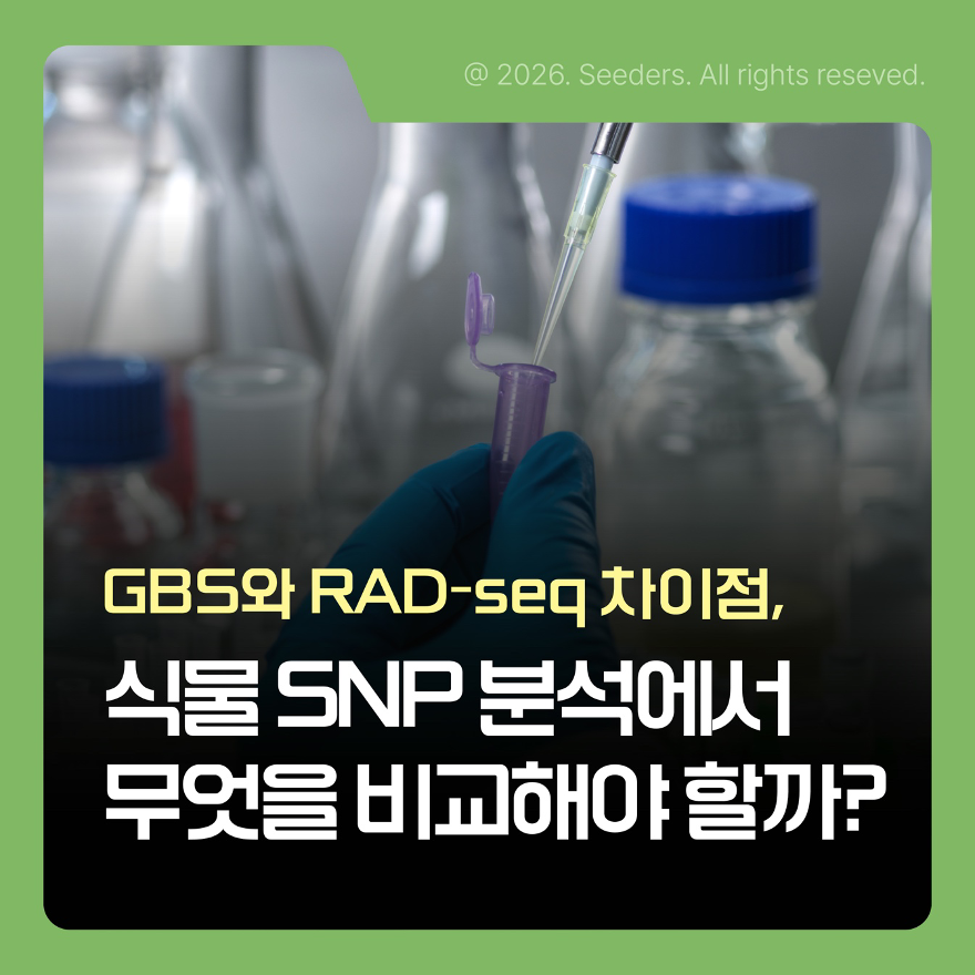 GBS와 RAD-seq 차이점 SNP 분석