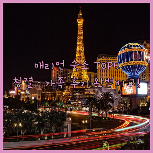 매리언 여행 숙소 베스트 5 청결도 ..