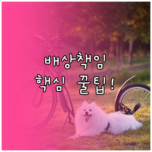 일상 배상책임보험 대물보상 청구 방법..