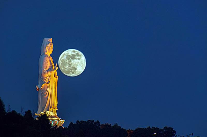 베트남-다낭-거대한-불상의-야경-모습