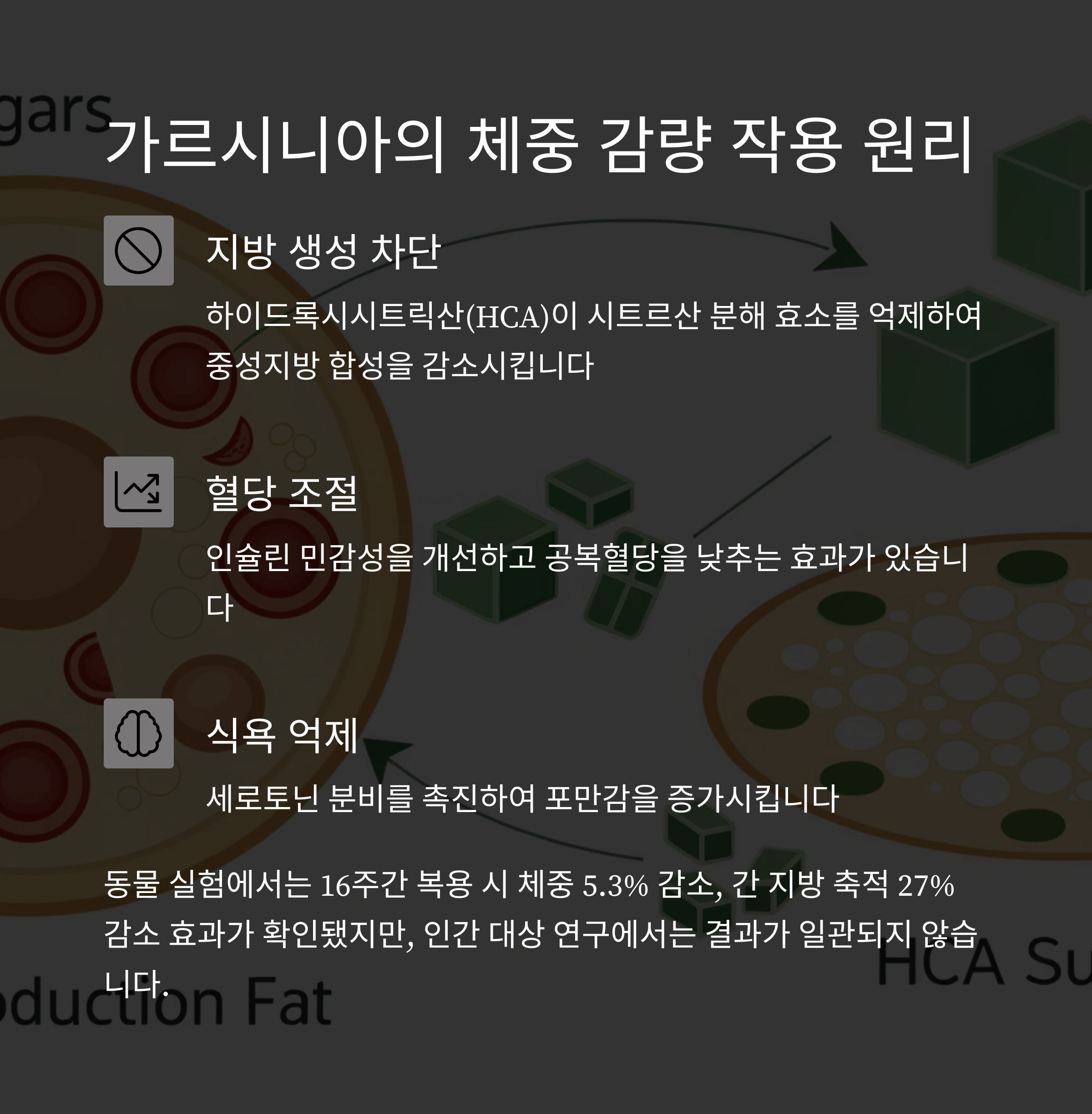 가르시니아 다이어트