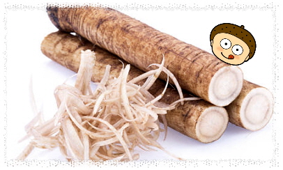 땅속 깊이 자란 우엉 특별한 효능