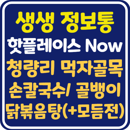 생생 정보통 맛집오늘방송 청량리 먹자골목 손칼국수, 닭볶음탕, 골뱅이 식당 위치 및 정보 : 핫 플레이스 Now