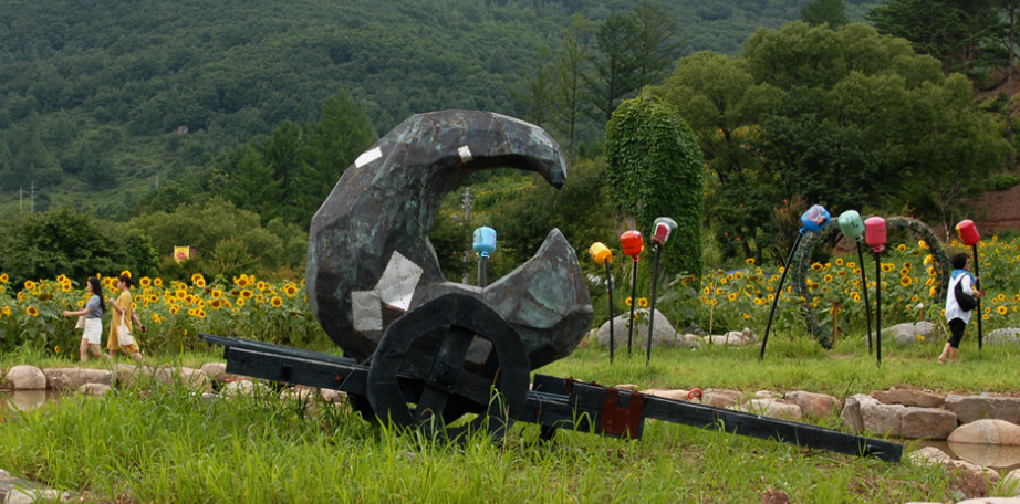 태백 해바라기 축제 2025 일정 및 즐길 거리 총정리!