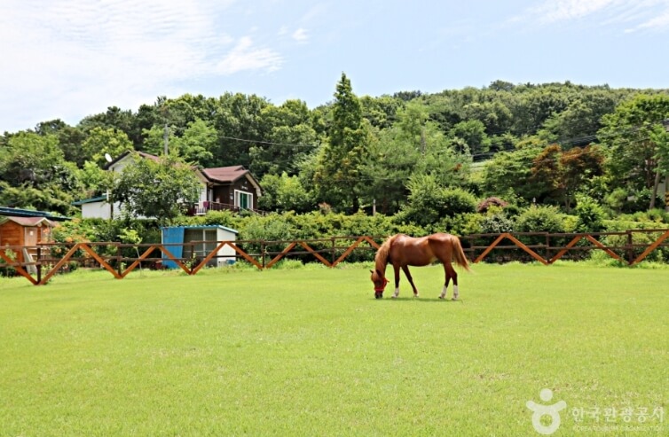 익산 가볼만한곳 베스트 10